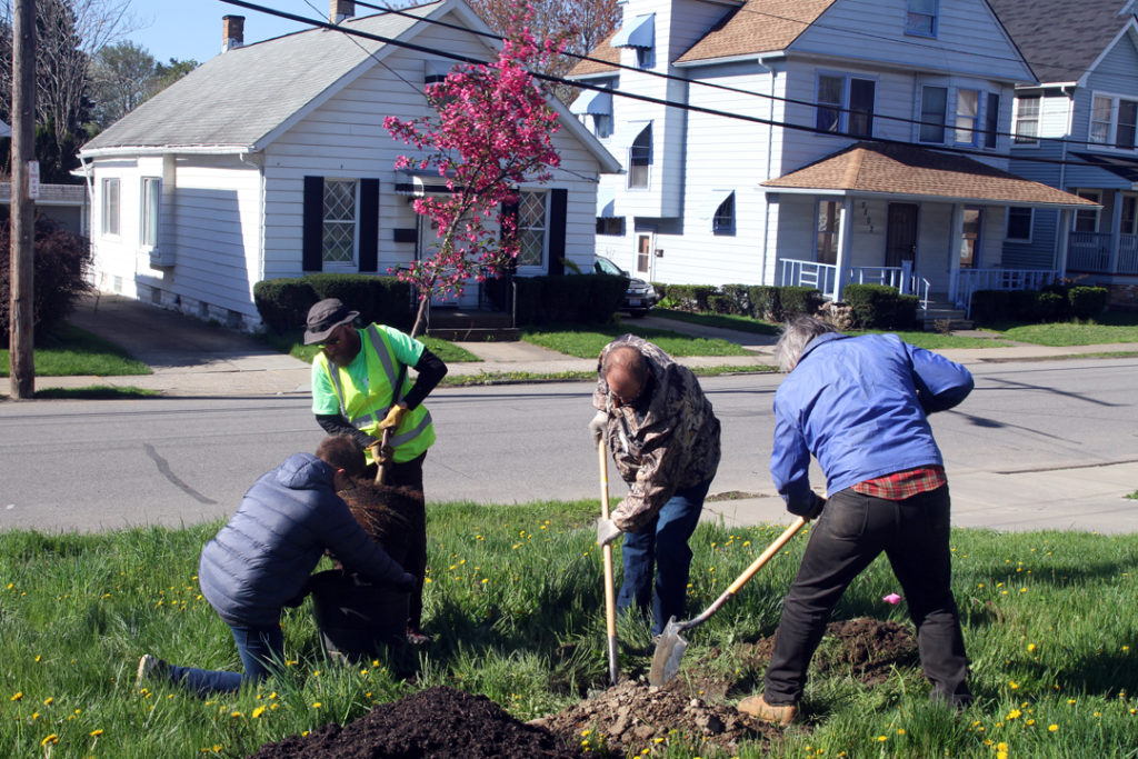 Four people planting a tree for Arbor Day